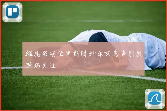 雄鹿截胡伯里斯时科尔叹息声引发现场关注