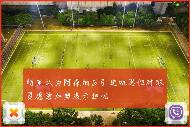 特里认为阿森纳应引进凯恩但对球员愿意加盟表示担忧